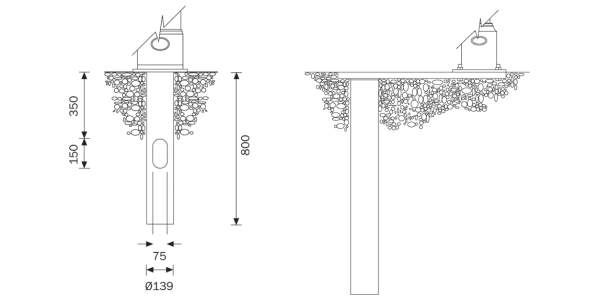 Standard columns technical root details 1146x574px